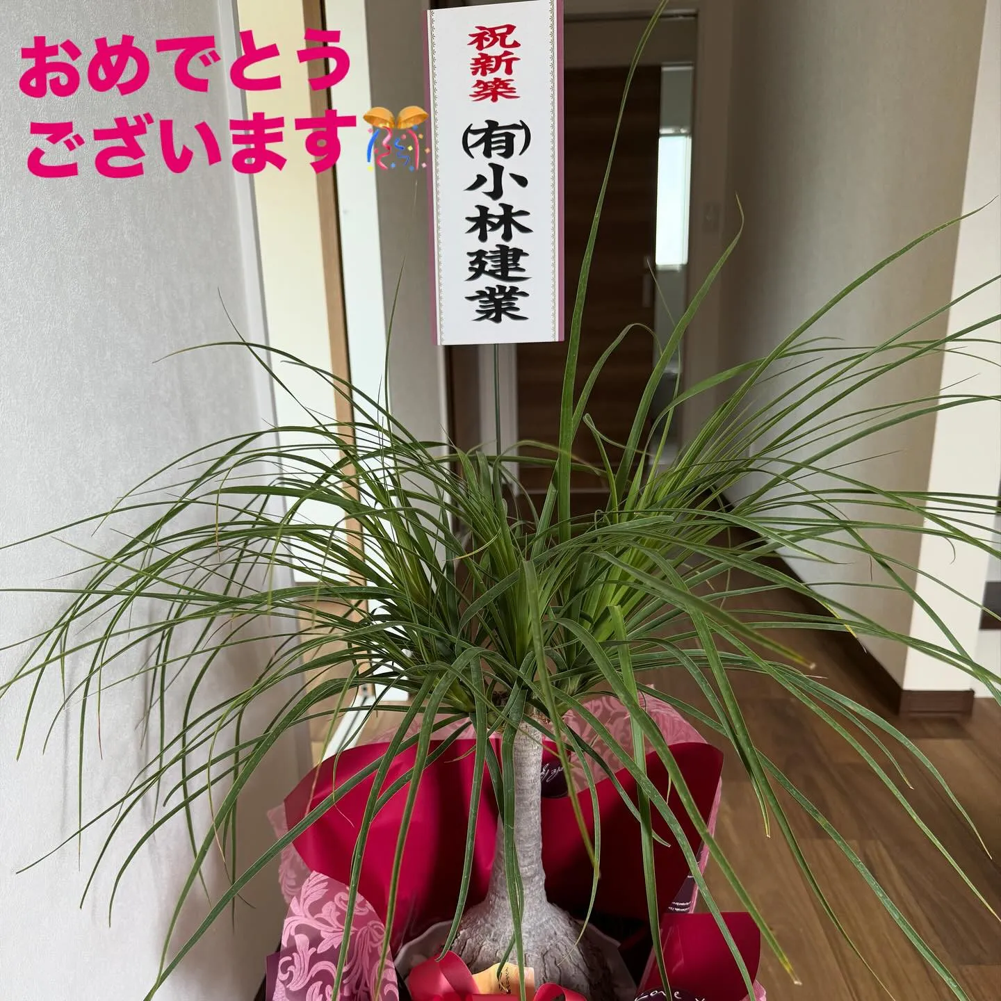 先日ふたばZUTTO プロジェクト室原のいえ